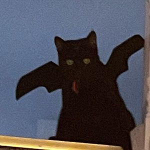 Meet your Posher, Davin